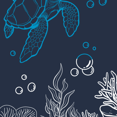 MER DE CORAIL