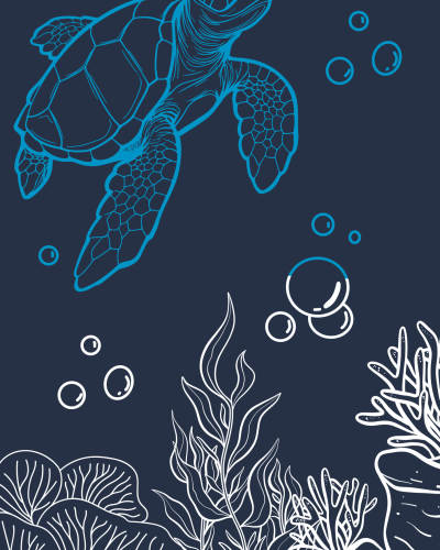 MER DE CORAIL